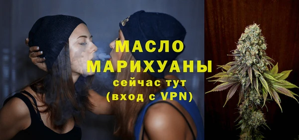 индика Арсеньев