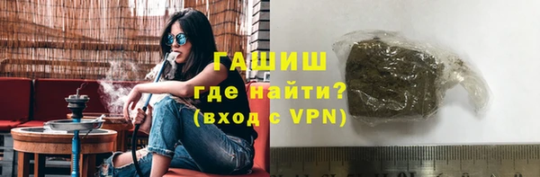 индика Арсеньев