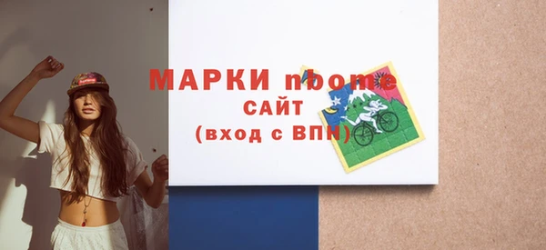 индика Арсеньев
