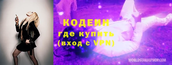 индика Арсеньев