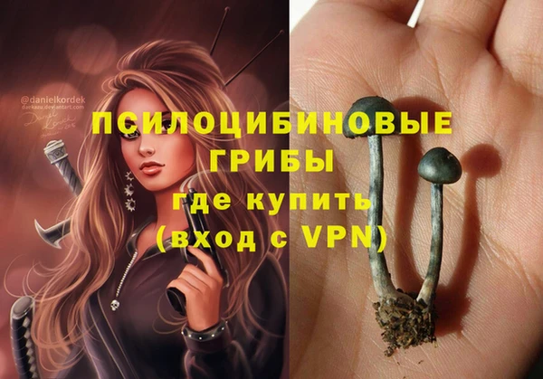 прущая мука Армянск