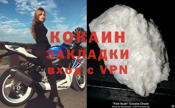 индика Арсеньев