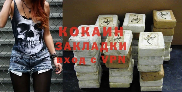 индика Арсеньев