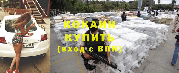 индика Арсеньев
