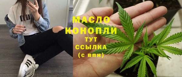 индика Арсеньев