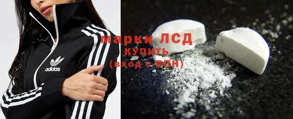 индика Арсеньев